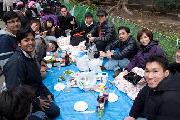 2012_SMDC_ohanami-5.jpg