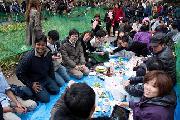2012_SMDC_ohanami-7.jpg