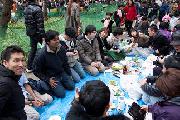 2012_SMDC_ohanami-8.jpg